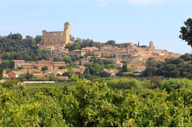 Châteauneuf Du Pape Wine Day Tasting Tour Including Lunch From Avignon - Discover Local Wineries