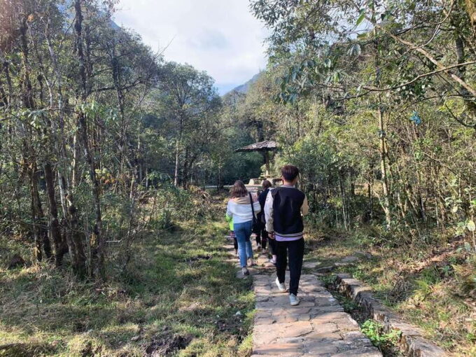 Chauffered Ride to Silver and Love Waterfall, Lonely Tree - Natural Beauty of Sa Pa