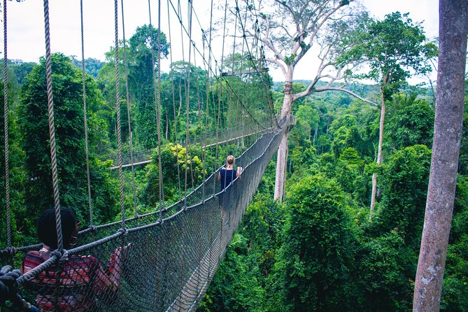 Chauffeur: Malacca to Taman Negara Transfer [Car] - Key Points
