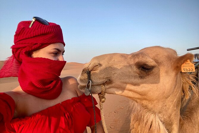 Cheapest 2-Day Tour From Fes to Merzouga Desert: Taxi Option - Camel Trekking Experience