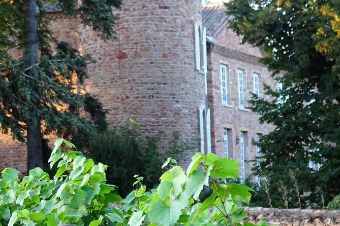 Cheese and Wine Accord Tour at Château De Champ-Renard - Cheese Pairings