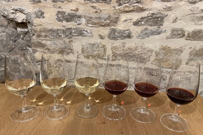 Cheese and Wine Pairing 1-Hour Session in Dijon - Accessibility and Additional Info