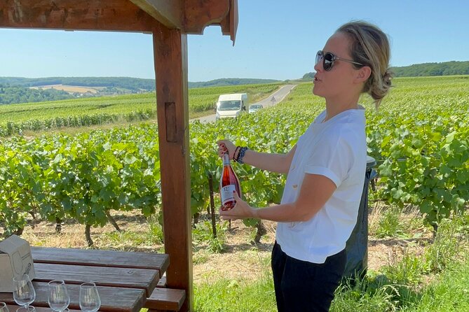 Cheese and Wine Pairing 1-Hour Session in Dijon - Burgundy Wine Fame