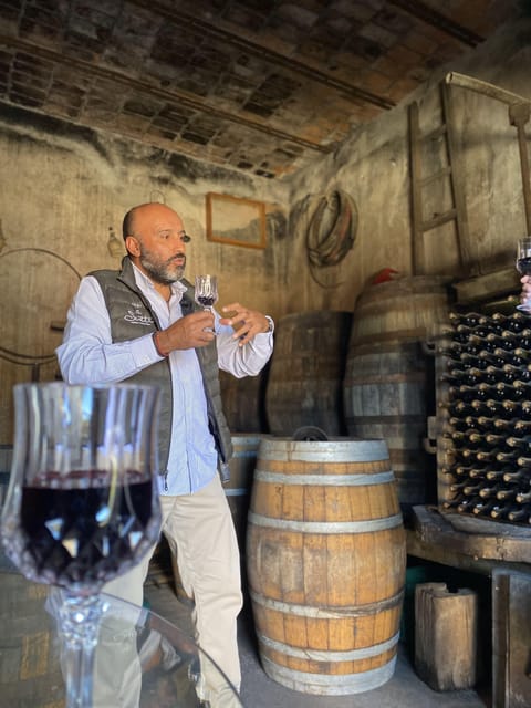 CHEESE AND WINE TOUR - Vineyard and Hacienda Experiences