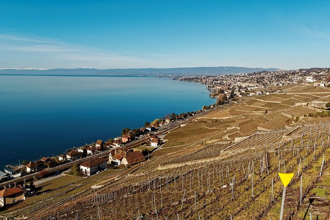 Cheese, Chocolate and Wine in the Bern Region From Luzern - Customer Reviews and Ratings