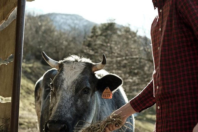 Cheese Cooking Class and Cheese Tasting With Chef Luigi Gandola - Pickup and Meeting Point