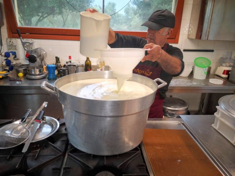 Cheese Making and Tasting Tour From Cagliari With Lunch - Cheese Making Process