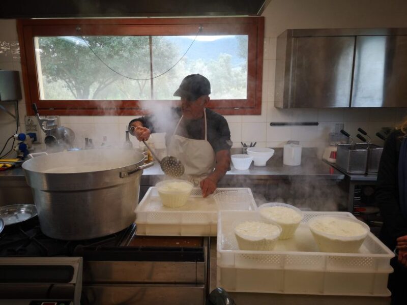 Cheese Making and Tasting Tour From Cagliari With Lunch - Included in the Tour