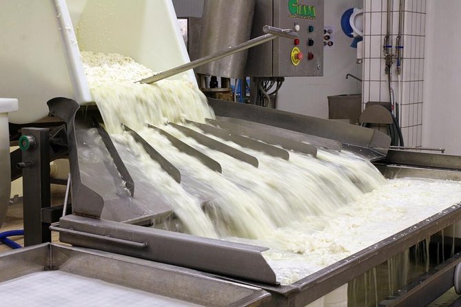 Cheesemaker for a Day & Visit to the Dairy - Inclusions and Activity Type