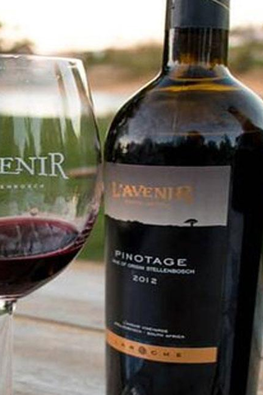 Cheetah Outreach and Award-Winning Winelands Full Day Tour - Itinerary and Highlights