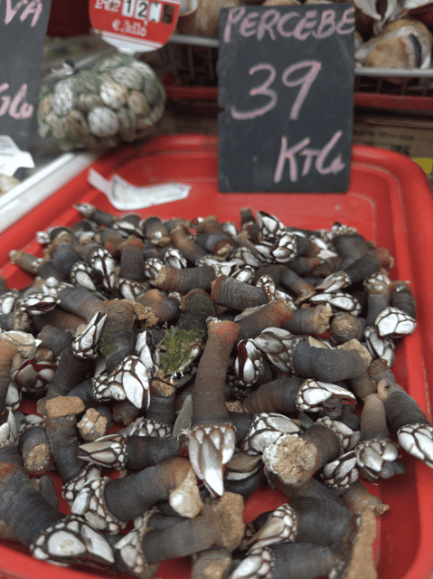 Chef-Guided Culinary Tour in Málaga With Eitan Doron - Experience Highlights