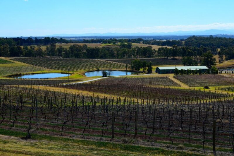 Chef-Led Hunter Valley Food & Wine Tour From Sydney - Gourmet Breakfast Experience