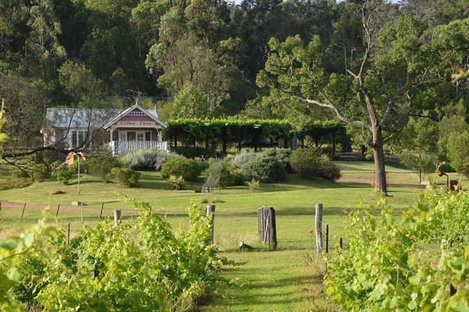 Chef-Led Hunter Valley Gourmet Food and Wine Day Tour From Sydney - Additional Details