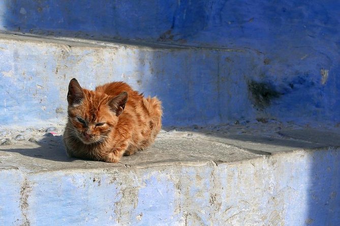 Chefchaouen Day Trip From Fes - Chefchaouen: The Blue Pearl