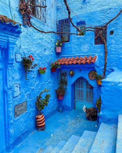 Chefchaouen Day Trip With Small Group - Transportation Details