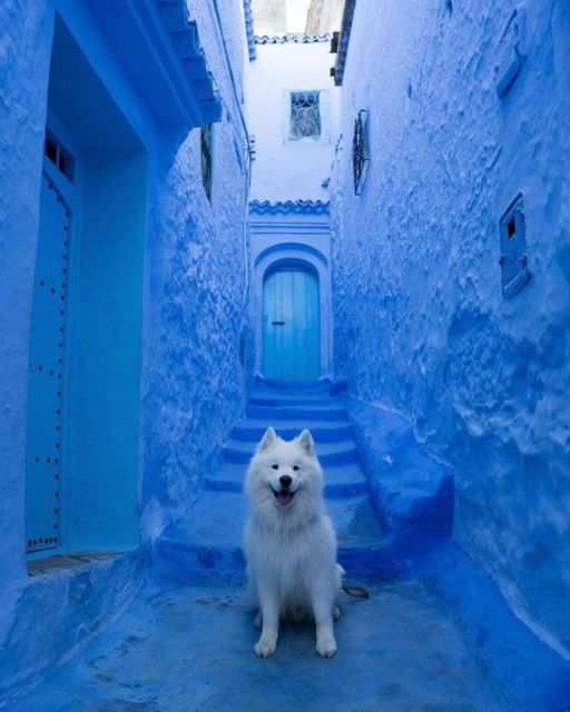 Chefchaouen Day Trip With Small Group - Departure and Pickup