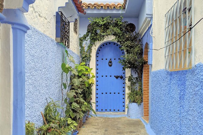 Chefchaouen Full-Day Historical Tour From Fez - Tour Highlights