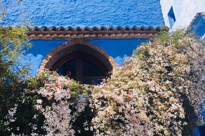 Chefchaouen Private Day Trip From Fez - Lunch and Refreshments
