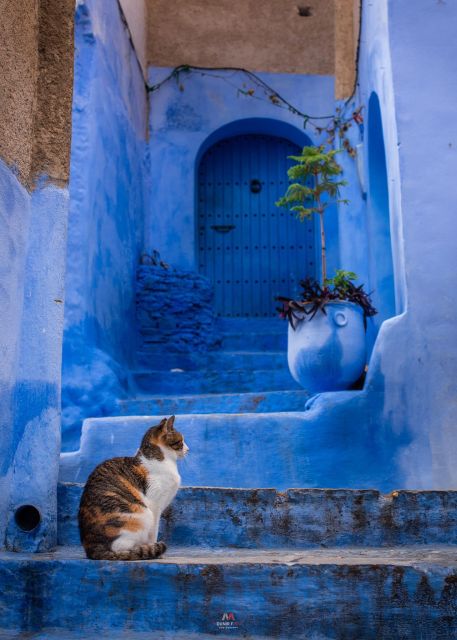 Chefchaouen Tour Guide - Tour Duration and Group Size