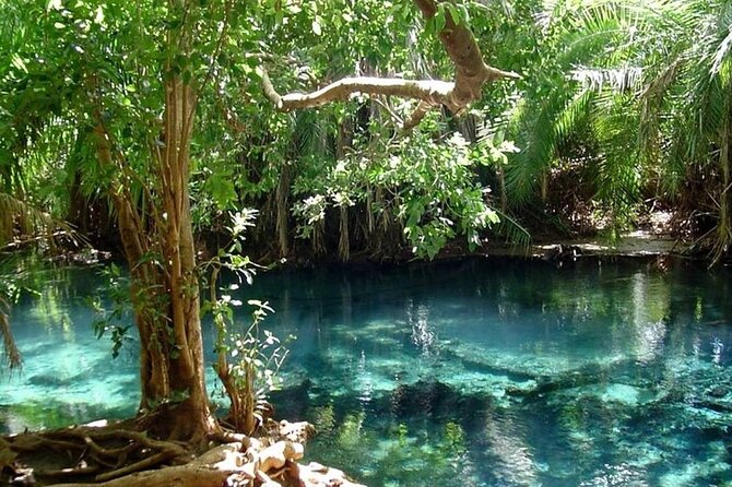Chemka Hot Springs Day Trip - Accessibility and Additional Information