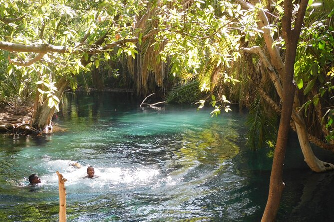 Chemka (Kikuletwa) Hot Springs, Tanzania - Key Points