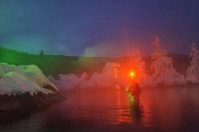 Chena Hot Spring Day Tour - Who Should Consider This Tour?