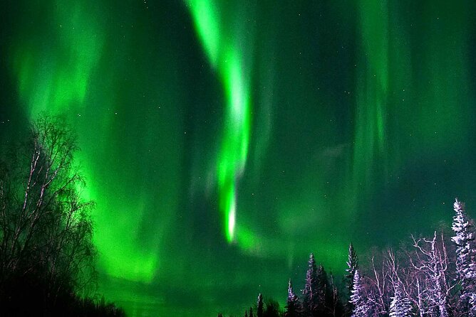 Chena Hot Springs Aurora Tour - Inclusions and Amenities
