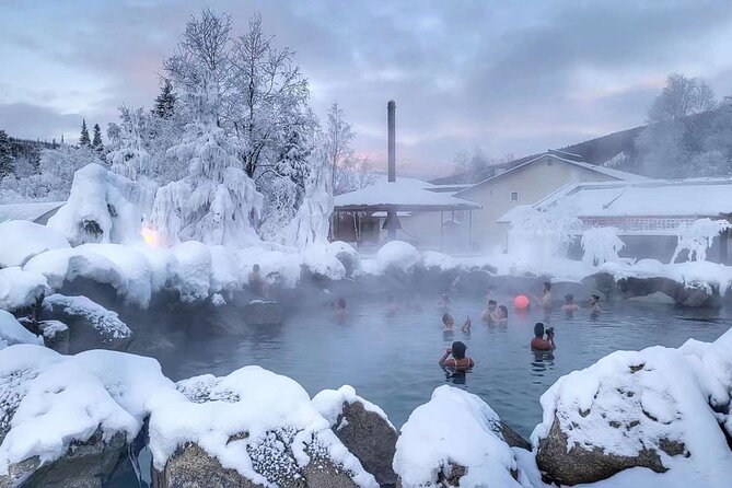 Chena Hot Springs Day Tour With Transportation - Inclusions and Features of the Tour