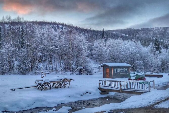 Chena Hot Springs Day Tour With Transportation - Health and Safety Guidelines