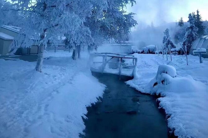 Chena Hot Springs Day Tour With Transportation - Pricing and Reservations