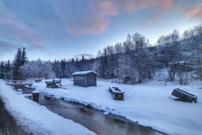 Chena Hot Springs Day Tour With Transportation - Traveler Reviews and Feedback
