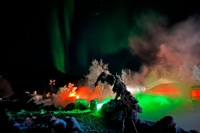 Chena Hot Springs Round Trip Tour - Activities and Recommendations