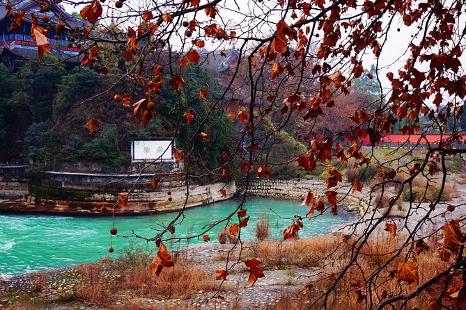 Chengdu Day Tour of Dujiangyan Irrigation System and Mount Qingcheng - Reviews
