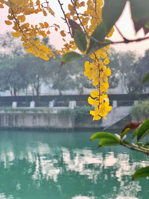 Chengdu Delights:Exploring Local Food and Unique Experiences - Personalized Trip Planning Consultation