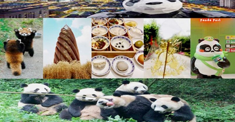 Chengdu Downtown Essences Private Day Tour - Local Culinary Delights