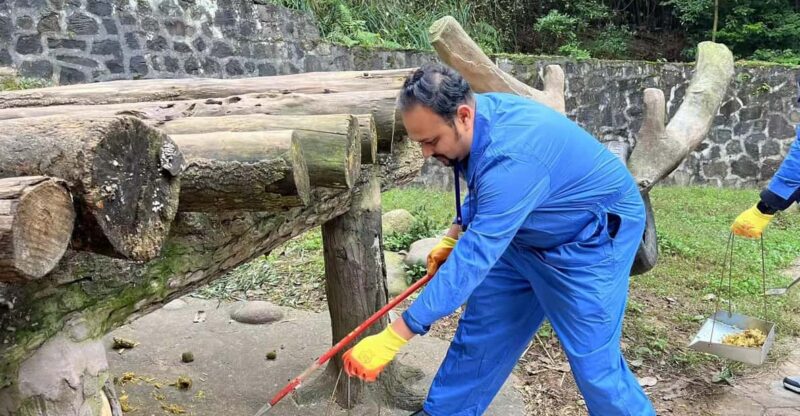 Chengdu: Dujiangyan Panda Base Volunteering Day Trip - Panda Observation and Learning