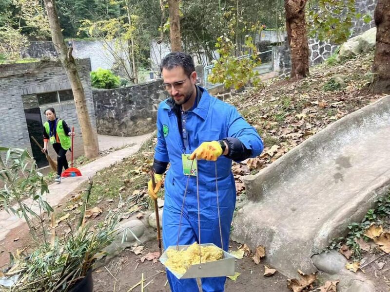 Chengdu: Dujiangyan Panda Base Volunteering Day Trip - What to Bring and Prepare
