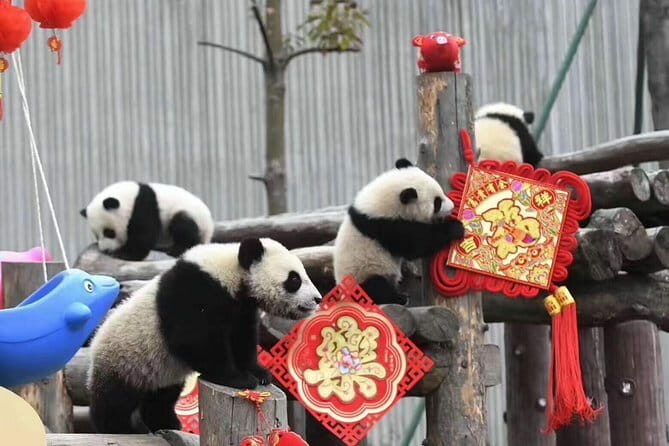 Chengdu Kung Fu Panda Tour Tai Chi, Martial Arts and Panda Base - FAQ – Practical Questions