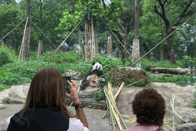 Chengdu Muslim Day Trip: Panda Breeding Base, Mosque, Wuhou Temple & Jinli - Included in the Package
