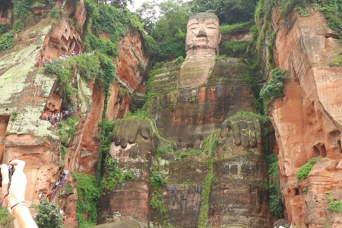 Chengdu One Day Trip of Panda Base Plus Your Choice - Panda Base Visit