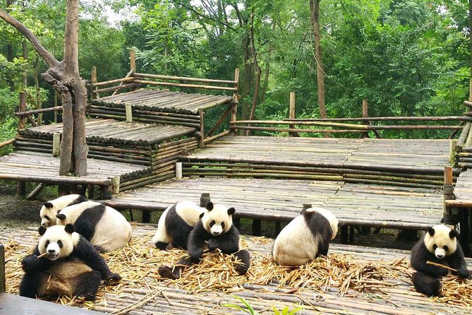 Chengdu One Day Trip of Panda Base Plus Your Choice - Ticket Redemption