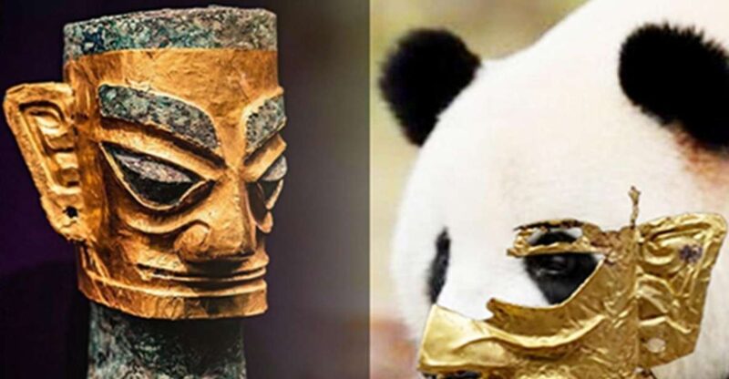 Chengdu Panda Base and Sanxingdui Museum Private Tour - Itinerary Highlights
