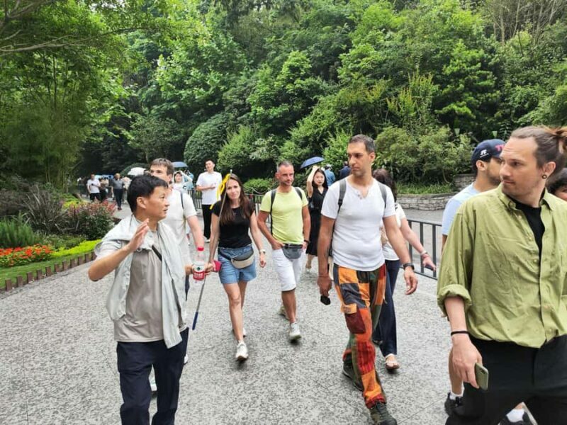 Chengdu: Panda Base Half-day Tour or Panda & Buddha Day Tour - Chengdu: Panda Base Half-day Tour or Panda & Buddha Day Tour — A Detailed Review