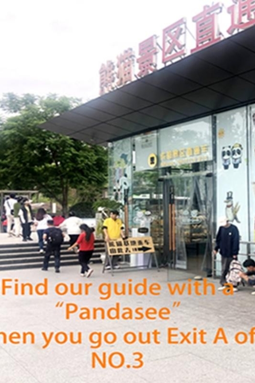 Chengdu Panda Base Half Day Tour - Experience Highlights