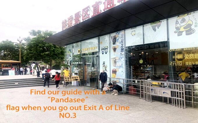 Chengdu Panda Base Half Day Tour - Panda Base Opening Hours