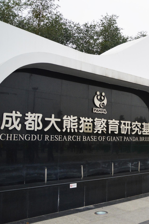 Chengdu: Panda Breeding Base Private Tour or Tickets Only - Panda Viewing Opportunities