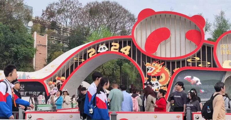 Chengdu: Panda Breeding Base Tickets Booking - Visit Experience