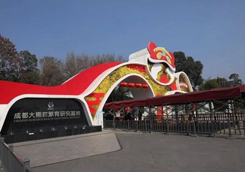 Chengdu Panda & Leshan Buddha One Day Private Tour - Chengdu Panda Base