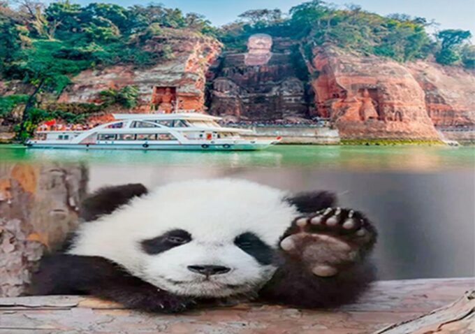 Chengdu Panda & Leshan Buddha One Day Private Tour - Booking and Preparation