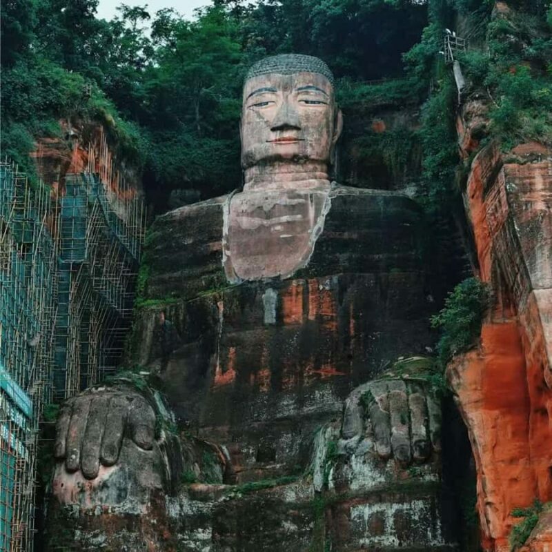 Chengdu: Panda Park & Optional Leshan Giant Buddha Tour - The Experience’s Strengths and Considerations